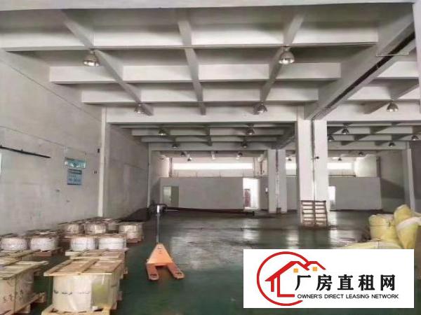  新出标准楼房一楼一千二百平