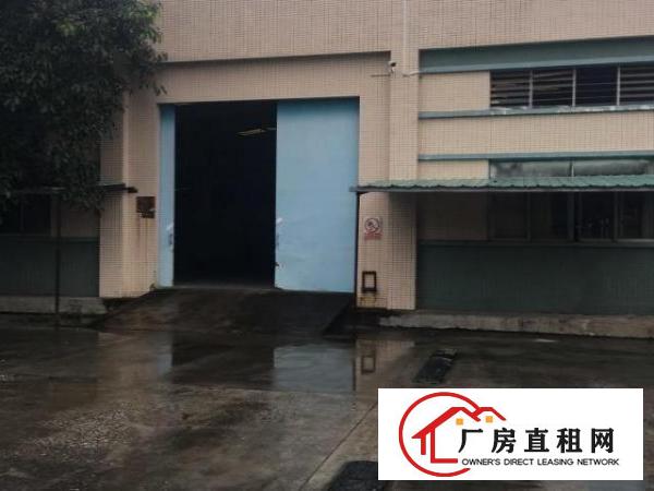  东莞大岭山杨屋原房东单一层独门独院厂房4200平米