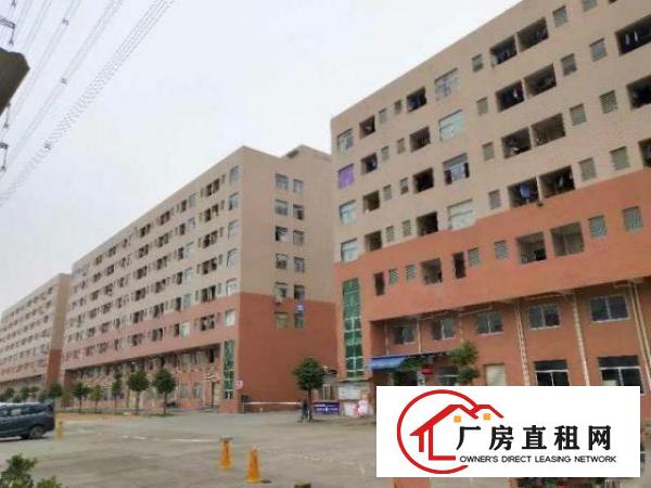  东莞大岭山杨屋新出标准原房东可分租厂房3000平米一层可分租