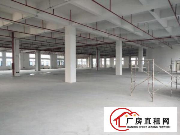  东莞大岭山杨屋新出标准原房东可分租厂房3000平米一层可分租