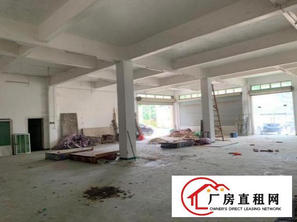  大岭山镇新塘村2800m²厂房出租共六层带电梯可分租免中介费