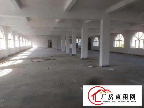  大岭山向东工业区3楼5000平米
