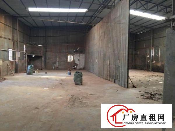  6米高铁皮棚厂房出租