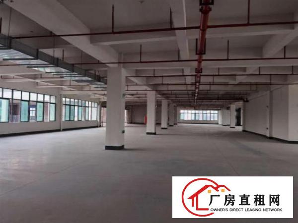  原房东直租                   