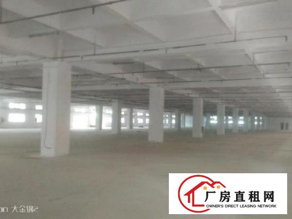  标准一楼二千八百平，单一层一千零五十平，有现成办公室装修。