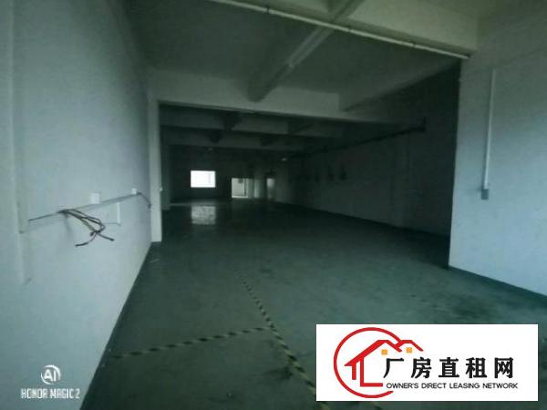 大岭山镇高速路口旁精装修工业厂房