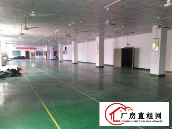  鸡翅岭2楼800平面积实在标准厂房，精装修厂房
