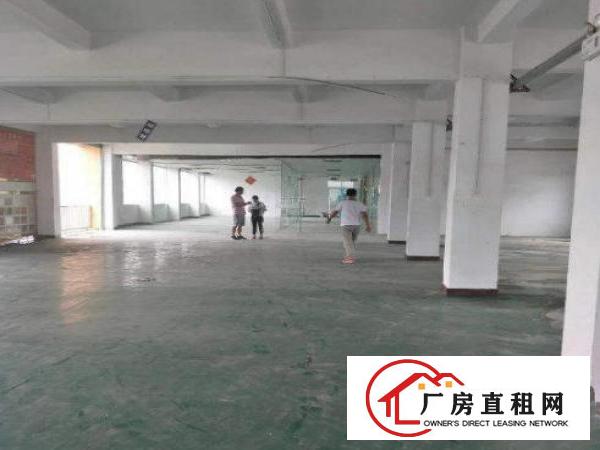 大塘朗新空一楼标准厂房700平有装修厂房出租，有地坪漆