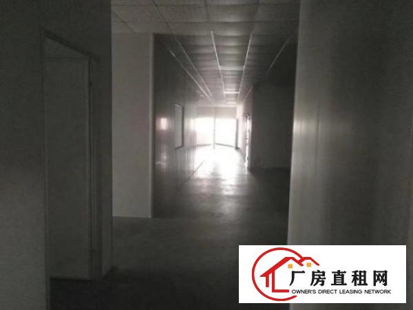  大岭山高新科技园精装修标准厂房可分租1960平米