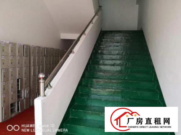  大岭山原房东精装修标准独院可分租厂房16000平米