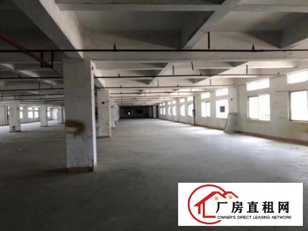  大岭山厚大路高新园大小可分租厂房48000平米