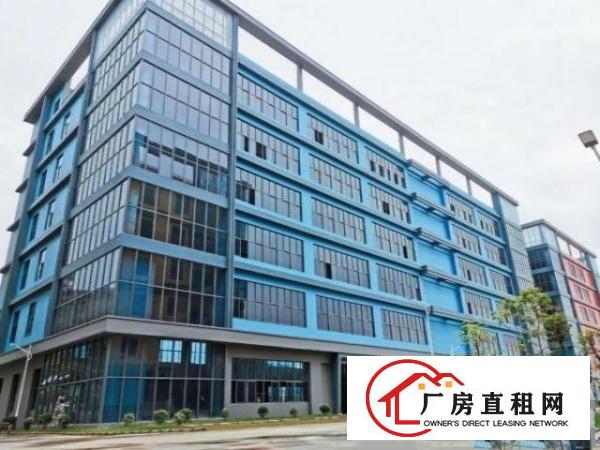  东莞大岭山国有红本全新园区标准100000平米可分栋出租