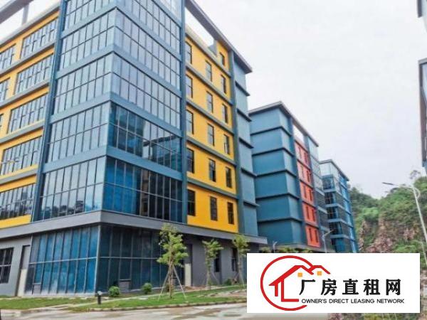  东莞大岭山国有红本全新园区标准100000平米可分栋出租