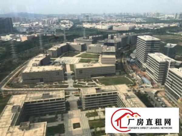  大岭山镇新出原房东花园式玻璃外墙厂房40万平方招租（可分租