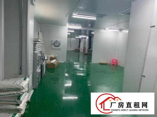  大岭山镇大型工业园新出楼上精装修厂房