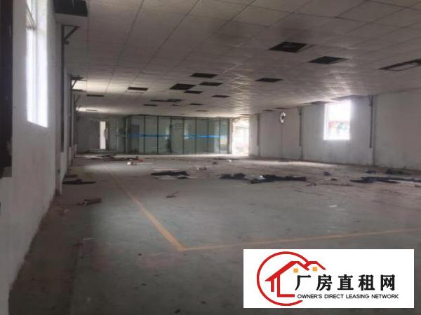  出租大岭山大塘精装小厂房价格优惠，可注册！入驻即可生产！