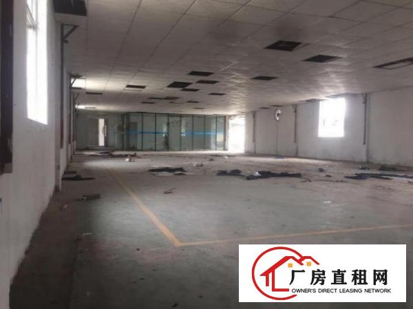  出租大岭山大塘精装小厂房价格优惠，可注册！入驻即可生产！
