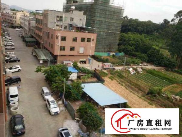  【大岭山】杨屋草塘村单栋一二层，可做厂房，近107国道高速口