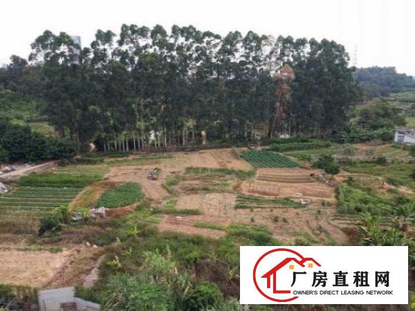  【大岭山】杨屋草塘村单栋一二层，可做厂房，近107国道高速口