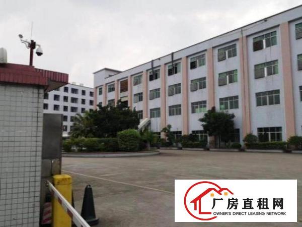  大岭山金桔村二楼厂房出租800平米，消防喷淋