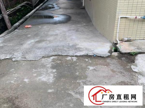  双门独院：大型车方便岀入：