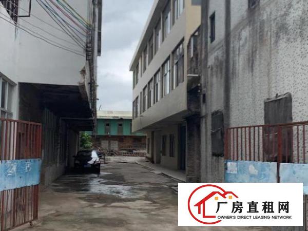  双门独院：大型车方便岀入：