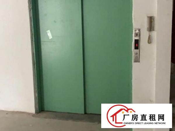  双门独院：大型车方便岀入：