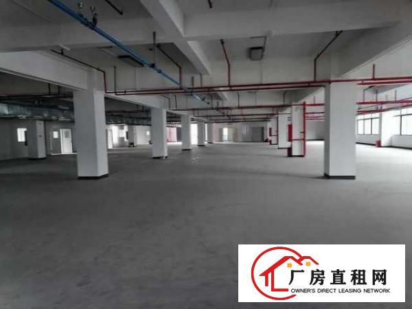  新出大岭山镇高新园区120000平米标准厂房招租可分租可办环