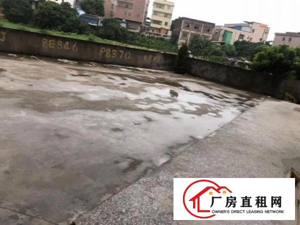  大岭山太公岭一楼420方楼房5.5m楼高带精美办公室