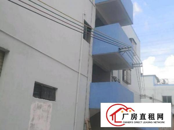 石大路边新空出钢构680平方，中间无柱子！