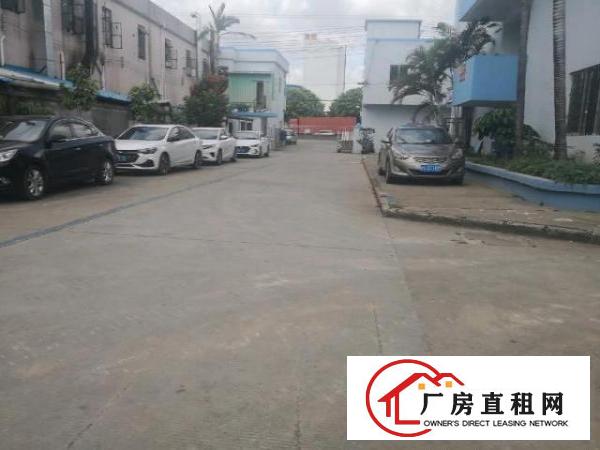  石大路边新空出钢构680平方，中间无柱子！