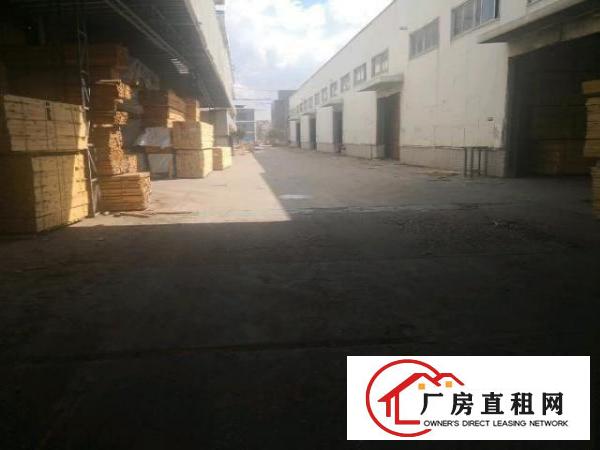  大岭山实业客木材仓库分租1000 3000平方！