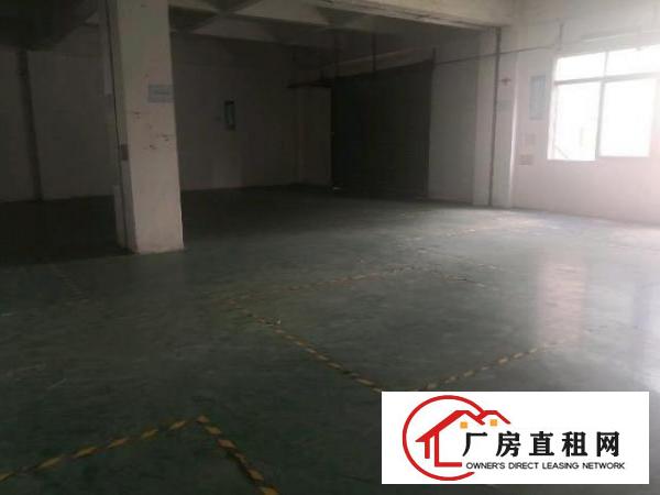  石大路边二楼900平方。有现成办公室！