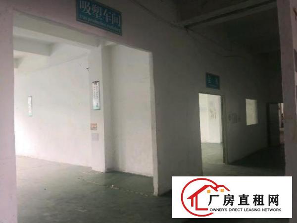  石大路边二楼900平方。有现成办公室！