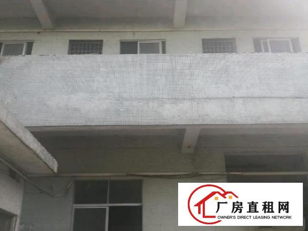  杨屋高速路口旁钢构1350平方出租！
