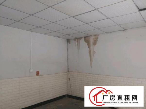  大岭山向东新空出单一层钢构1500平方！