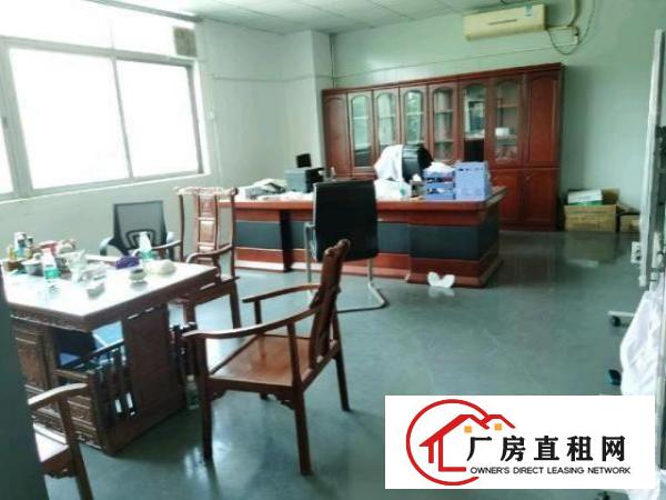  大岭山镇新出现成无尘车间.