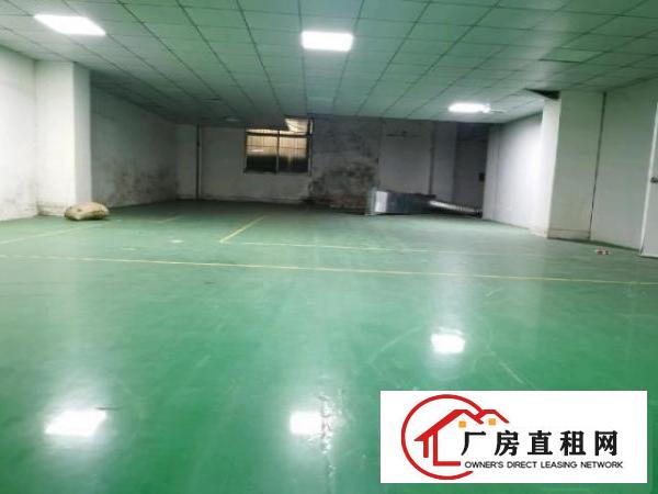  大岭山镇新出现成无尘车间.