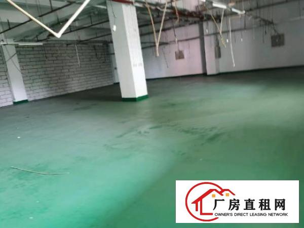  大岭山镇新出现成无尘车间.