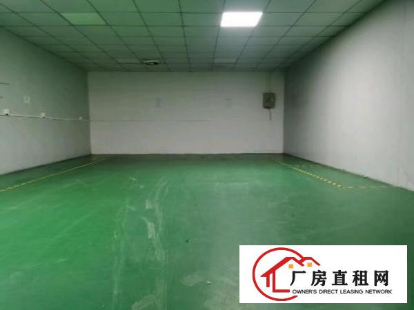  大岭山镇新出现成无尘车间.