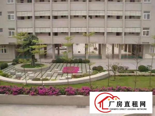  急招出租，大岭山实拍的2楼厂房2000平米，原房东，公摊小