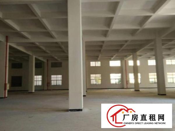  大岭山梅林村标准厂房一楼1200方出租