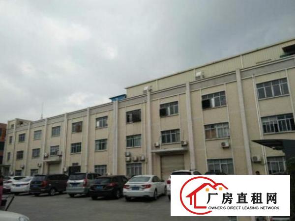  大岭山梅林村标准厂房一楼1200方出租
