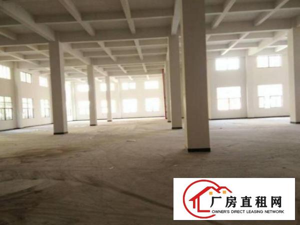  大岭山梅林村标准厂房一楼1200方出租