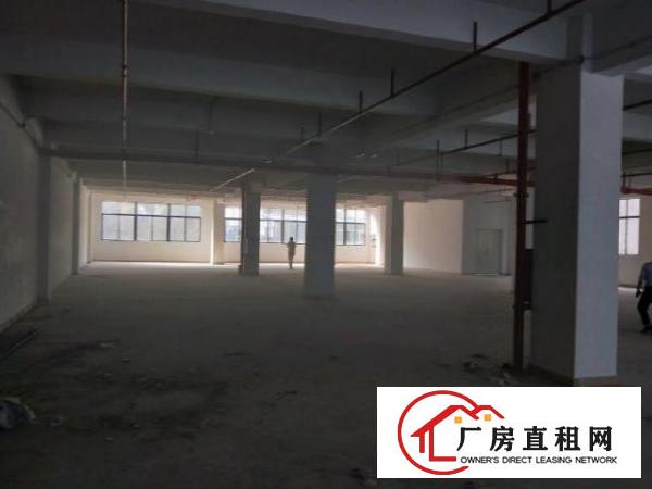  大小厂房，标准厂房，铁皮房，无尘车间，可分租可整租。