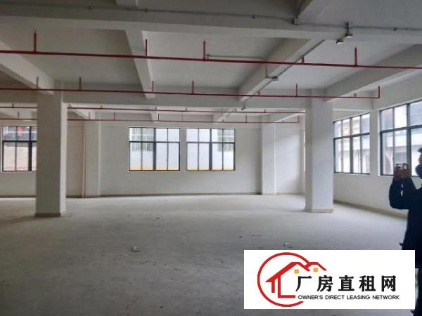  大小厂房，标准厂房，铁皮房，无尘车间，可分租可整租。