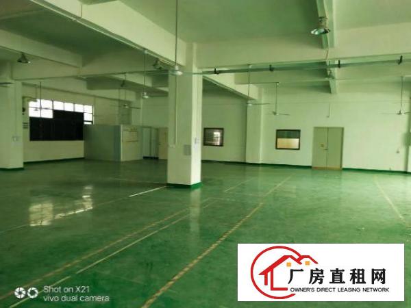  大岭山颜屋村带装修厂房1080平方