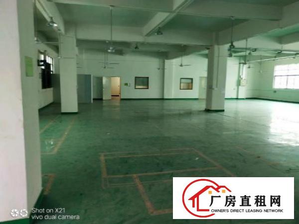  大岭山颜屋村带装修厂房1080平方