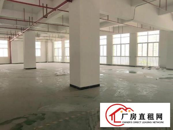  大岭山楼上原房东实际面积带装修1000平可办环评