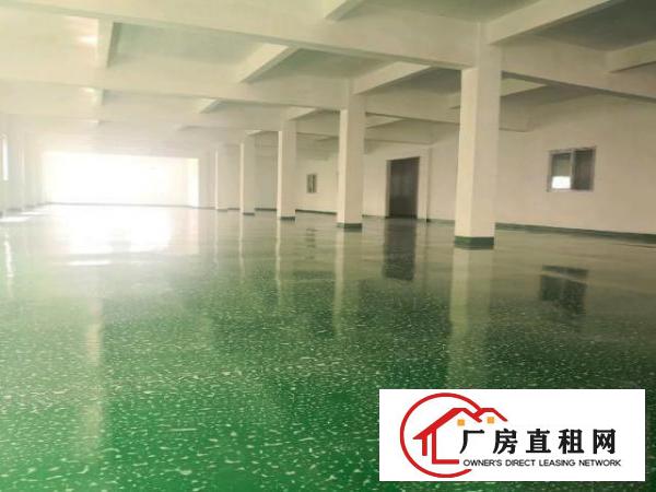  新塘全新二楼2600平，有地坪漆天花吊顶！200平起分！
